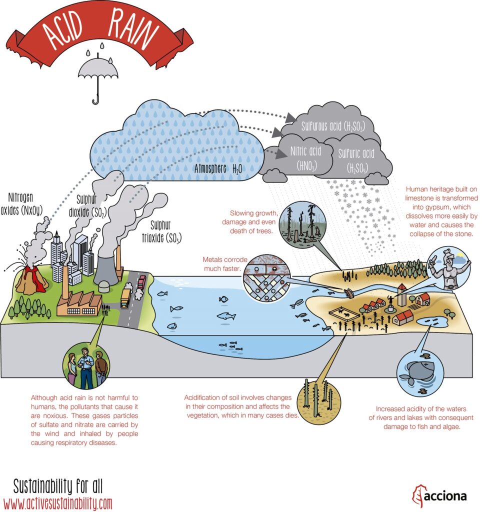 Qu'est-ce que les pluies acides et comment se forment-elles