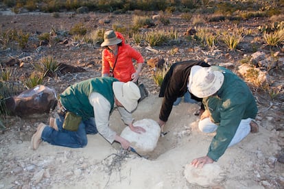 Paléontologues dans la zone d'excavation, à Cerro del Pueblo, au sud de Coahuila.
