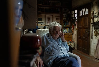 José Mujica dans sa ferme, le 31 octobre 2024.