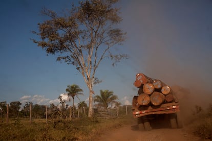 Déforestation Amazon en Bolivie