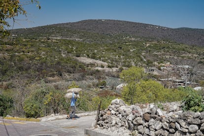 Collines avec des cultures d'agave dans la municipalité de San Diego la Mesa Tochimiltzingo, Puebla.