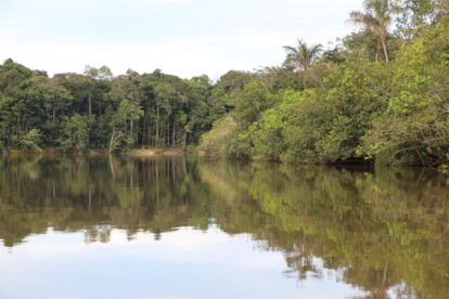 Projet colombien de conservation d'Amazon.
