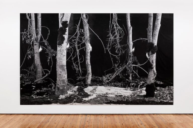 Hannah Collins et le feu comme acte d'imagination