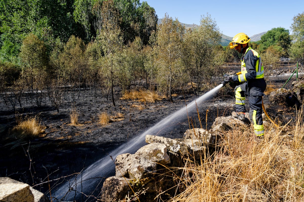 Le vent aggrave le feu de Valdecaballeros (Badajoz)
