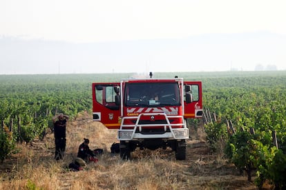 Un camion de pompiers est garé dans un champ de cultures, dans le sud de la France, ce jeudi.