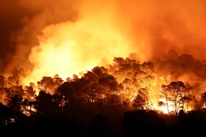 Les arbres brûlent lors d'un incendie de forêt près de Saint-Laurent-de-la-Cabrerisse, dans le sud de la France, ce mercredi.