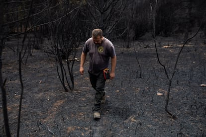 Un homme marche sur la zone touchée par les incendies de la Sierra de la Culebra en 2022, à Villardeciiervos, Zamora, le 21 juin de la même année. 