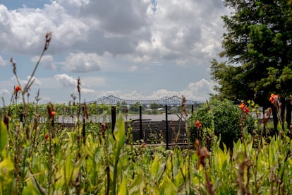 Bywater, Nouvelle-Orléans