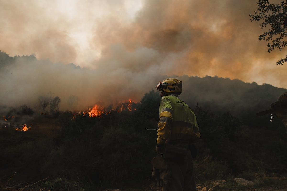 L'incendie punit le sanctuaire des ours et des chênes de la montagne Palencia