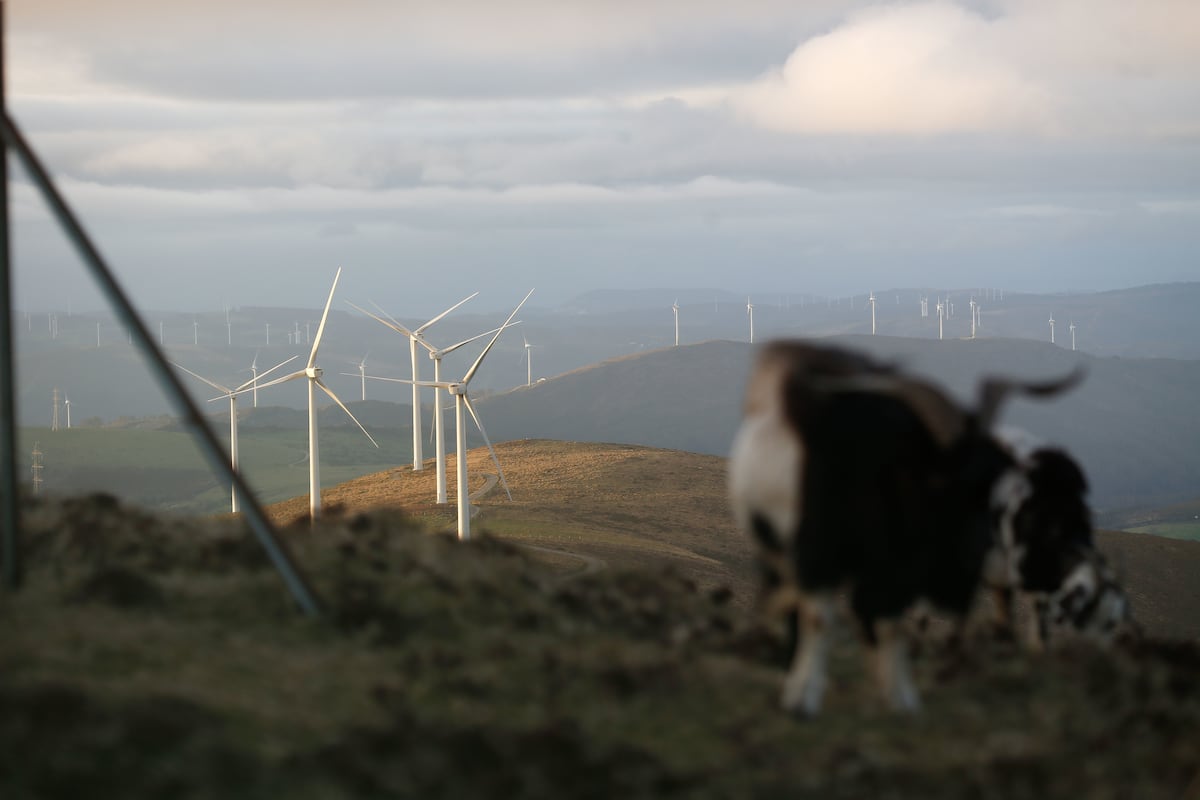 La Cour de justice de l'UE soutient le traitement de la Xunta de 70 parcs éoliens maintenant paralysés