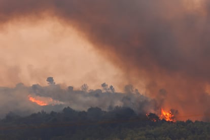 Les arbres brûlent lors d'un incendie de forêt à l'aube près de Saint-Laurent-de-la-Cabrerisse, près de Narbonne, dans le sud de la France, ce mercredi.