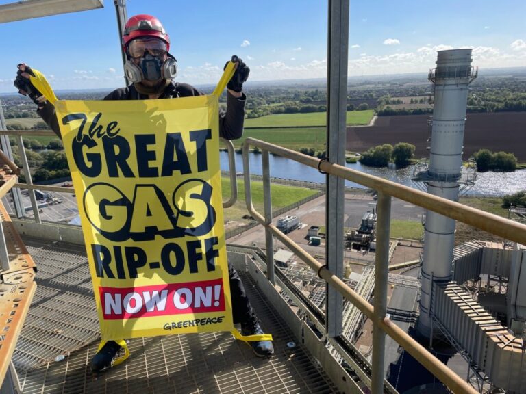 Protestation de la centrale électrique de Greenpeace: ce que vous devez savoir