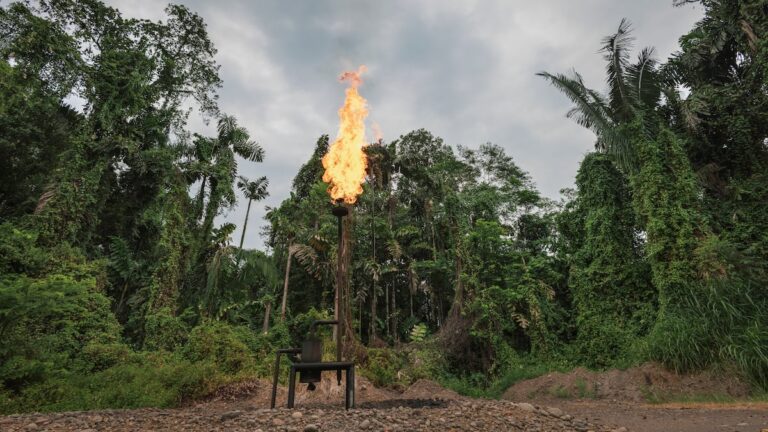 Equateur et pétrole: un défi pour la démocratie et Amazon