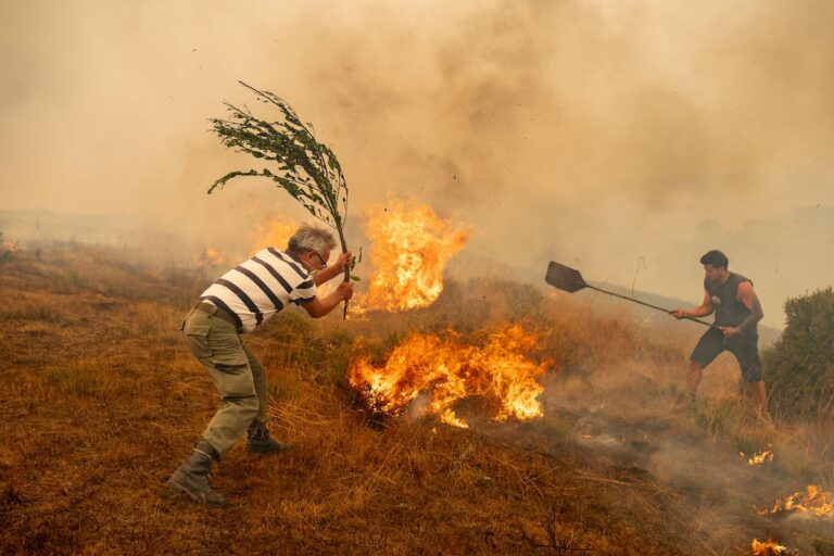 La lutte contre la crise climatique comme opportunité d’approfondissement démocratique