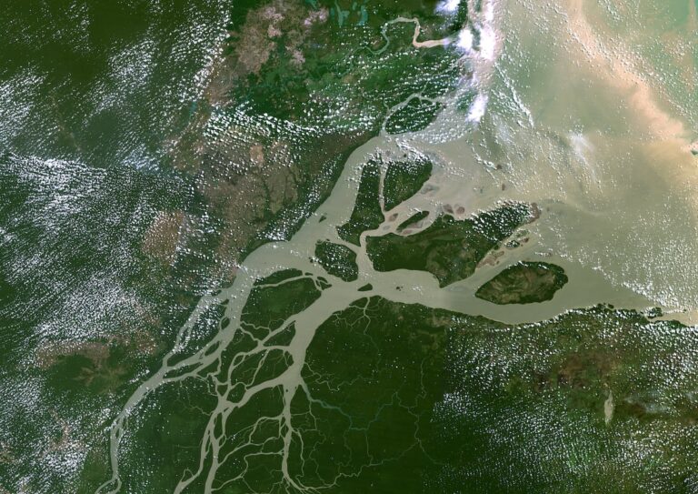 Le Brésil commencera à rechercher du pétrole dans le delta de l'Amazonie à la veille du sommet sur le climat