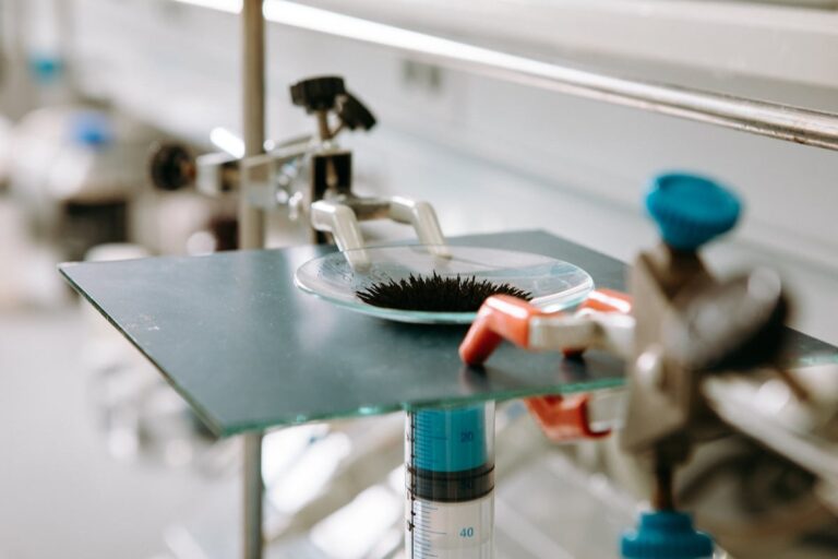 L'entreprise espagnole qui révolutionne la production de biogaz