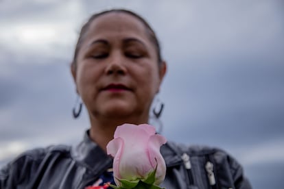 Les mains de Rosa Vera tiennent une rose cultivée dans la savane occidentale. Facatativá, Cundinamarca, Colombie.
