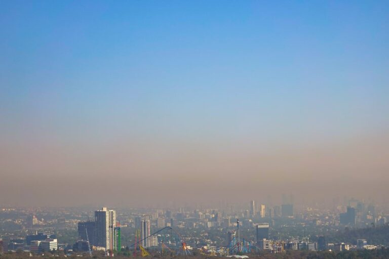 COP30 : le Mexique n’a jamais réussi à atteindre ses objectifs climatiques