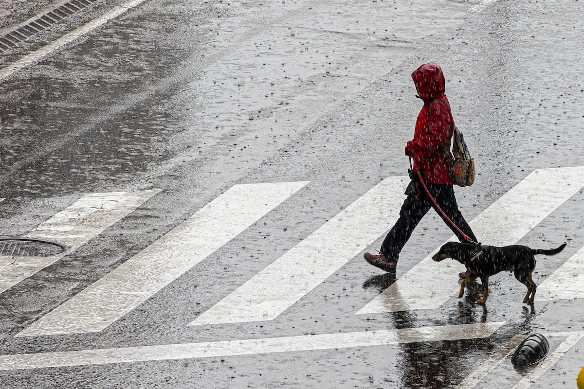 L'Aemet active un avertissement orange de pluie à Majorque, Barcelone, Lleida, Tarragone, La Corogne, Pontevedra, le Pays Basque, les Asturies et la Cantabrie