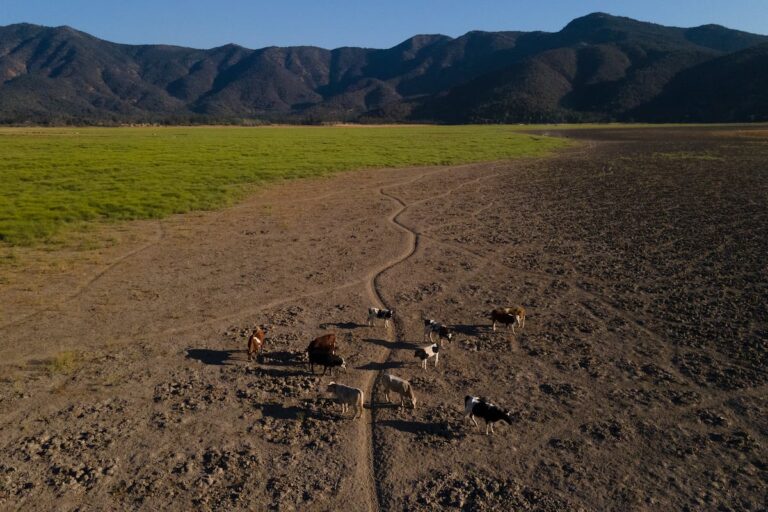 Le Chili ne peut pas se permettre de perdre son consensus climatique