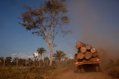 Déforestation de l'Amazonie en Bolivie