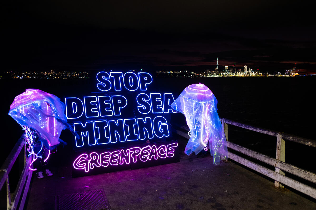 Greenpeace conteste le transfert de licences du gouvernement britannique à une société minière « louche » en eaux profondes