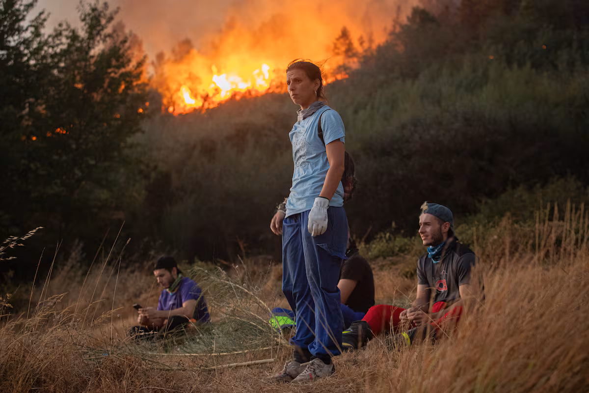 L’Europe est confrontée à une mortalité d’arbres sans précédent due aux incendies et aux ravageurs