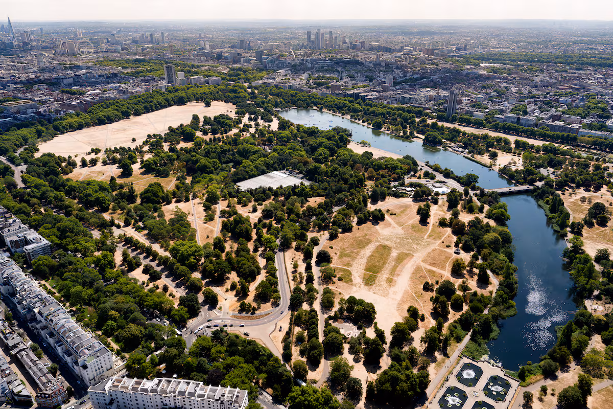 « Hyde Park ressemble au désert de Dubaï » : la sécheresse transforme les parcs verts de Londres en terres arides