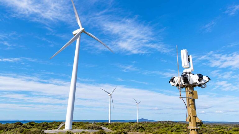 Éoliennes : une IA décide quand freiner pour éviter les collisions avec les oiseaux