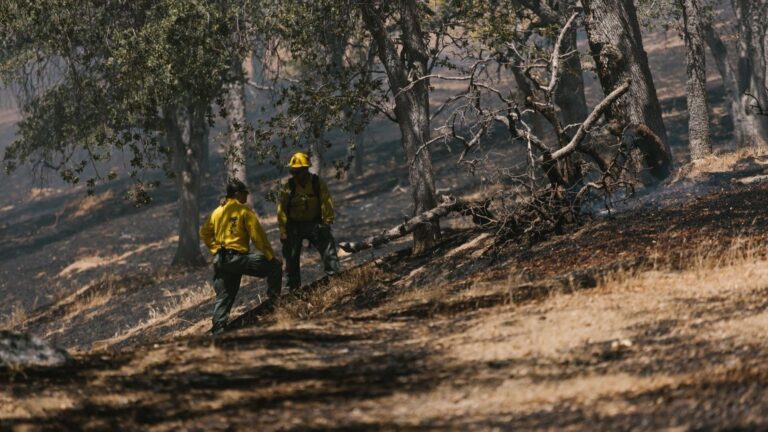La restauration de l&rsquo;incendie de Niebla coûtera 404 millions