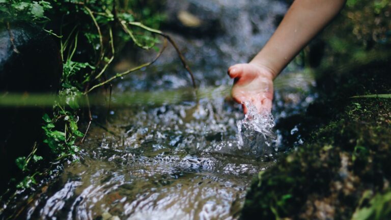 Journée mondiale de la qualité de l’eau 2026 : ce que révèle une simple analyse