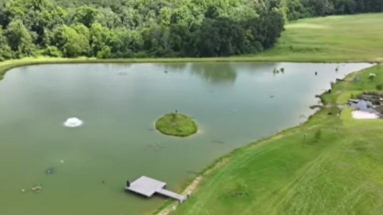 Un champ de cacahuètes en Alabama devient un lac de pêche : 1 000 jours plus tard, pygargues à tête blanche, cerfs et hiboux