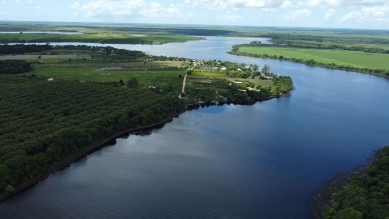 Journée mondiale des rivières 2026 : pourquoi protéger ces écosystèmes est essentiel pour l’avenir de la planète