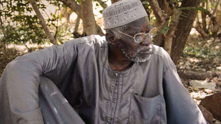 Yacouba Sawadogo revient au Burkina Faso et transforme 40 hectares arides en forêt avec plus de 60 espèces d&rsquo;arbres grâce à des trous remplis de fumier attirant les termites