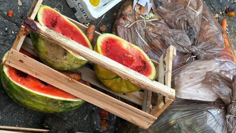 Journée internationale de sensibilisation à la perte et au gaspillage alimentaires 2026 : le défi mondial pour mettre fin au gaspillage alimentaire