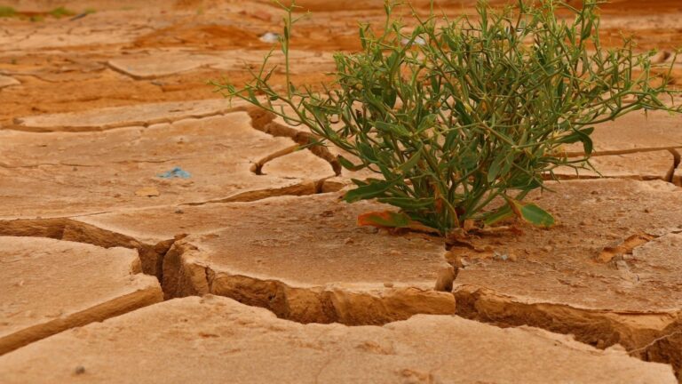 Les extrêmes climatiques en Espagne ont atteint en 2025 leur maximum depuis 1961.