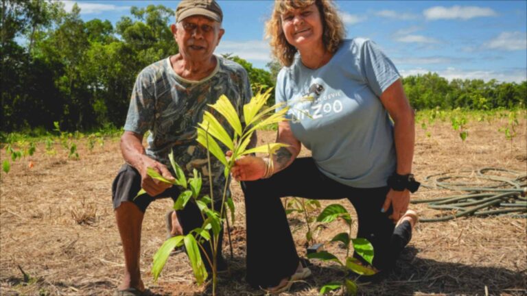 Une femme a acheté une plantation de canne à sucre dans le Queensland pour nourrir les chauves-souris et, avec des centaines de bénévoles, a planté plus de 119 000 arbres, créant une forêt tropicale protégée par la loi