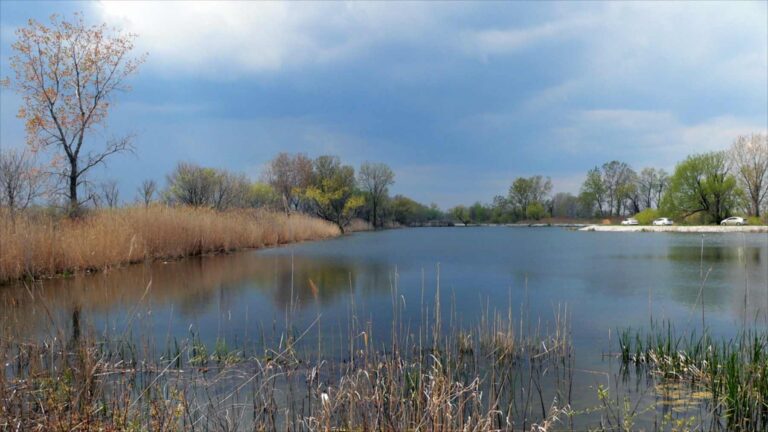 États‑Unis : ouverture d’un passage entre un marais clos par des digues et un affluent du lac Érié, un sonar enregistre 3,44 millions de détections de poissons en quatre ans, mais ce chiffre masque une nuance importante