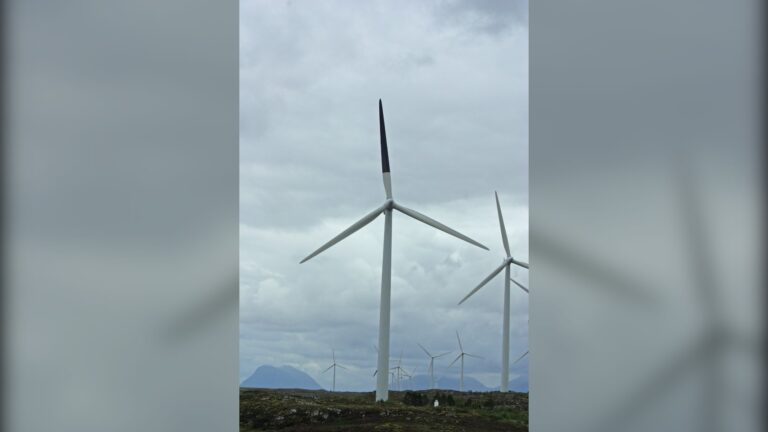 Peindre en noir une pale parmi quatre éoliennes sur l&rsquo;île de Smøla (Norvège) réduit la mortalité des oiseaux de 71,9 %, mais une étude aux Pays-Bas n&rsquo;a pas reproduit ce résultat