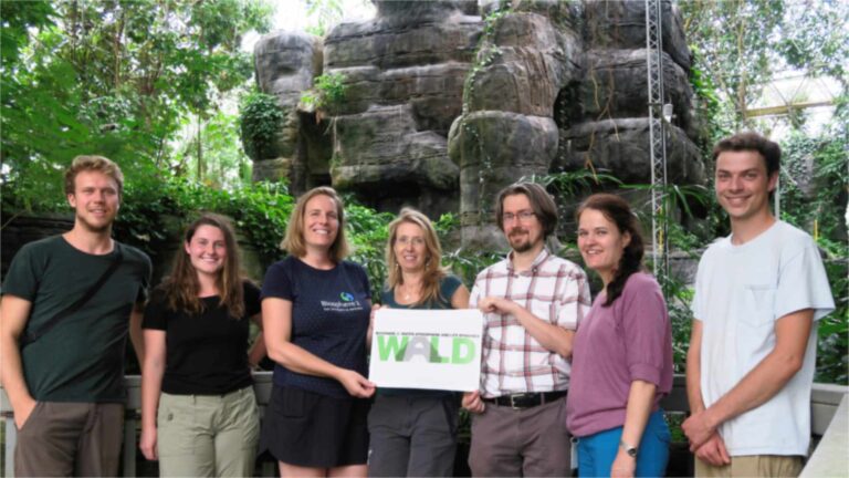 En 2019, une équipe internationale a privé la forêt tropicale artificielle de Biosphère 2, en Arizona, de pluie pendant neuf semaines et demie, et sa capacité d’absorption du carbone a chuté d’environ 70 %, malgré la résistance de la forêt.
