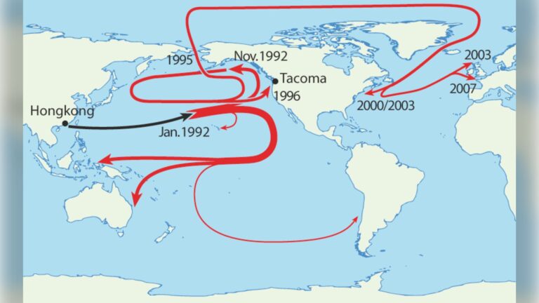 28 800 jouets (canards, tortues et grenouilles) tombés dans le Pacifique en 1992 : estimation de trois ans pour traverser le Pacifique Nord