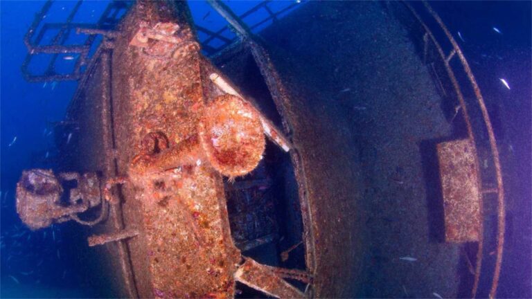 Gibraltar : plus de 30 bateaux coulés pour des récifs artificiels et les espèces de vertébrés passent de 12 à 54 dans la zone étudiée — chiffres datant de plus de trente ans
