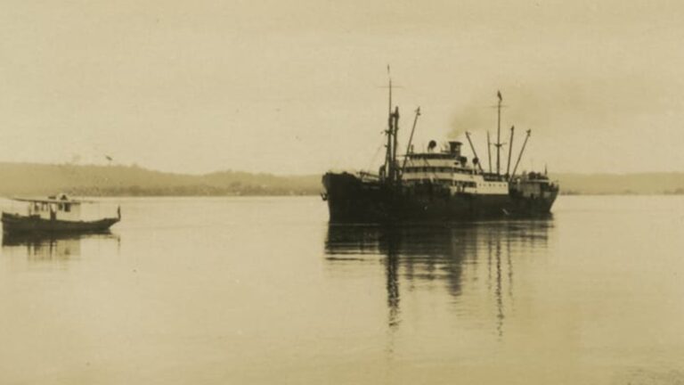 Fordlandia: Henry Ford crée une cité amazonienne en 1928 pour le caoutchouc, ruinée par un champignon, le terrain et les conflits, vendue pour 250 000 dollars après 20 millions de dollars investis
