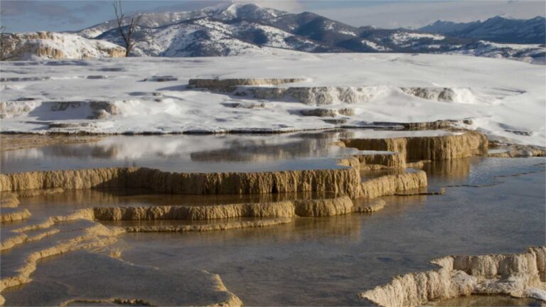 Une designer a abandonné un salaire de 75 000 dollars pour coudre des uniformes à Yellowstone