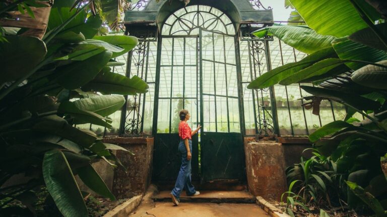 Journée mondiale des jardins botaniques 2026 : refuges pour les plantes menacées