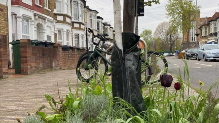 Westminster a demandé à une professeure retraitée de 89 ans de retirer son jardin du trottoir.