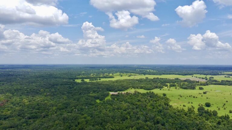 Éleveur de première génération a économisé pendant des années pour acheter un ranch de 267 hectares en Floride et a vendu à l’État ses droits d’urbanisation dans un corridor faunique abritant des panthères et des serpents indigo