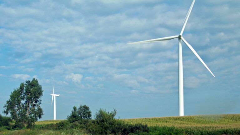 Ils ont loué leurs terres à des parcs éoliens et les drainages cassés peuvent mettre des années à apparaître