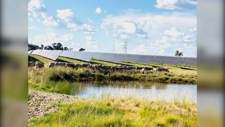L’Australie bat des records solaires à grande échelle en septembre 2026 : Nouvelle-Galles-du-Sud, Queensland et Victoria atteignent des sommets et l’éolien et le solaire totalisent 5,44 TWh en un seul mois