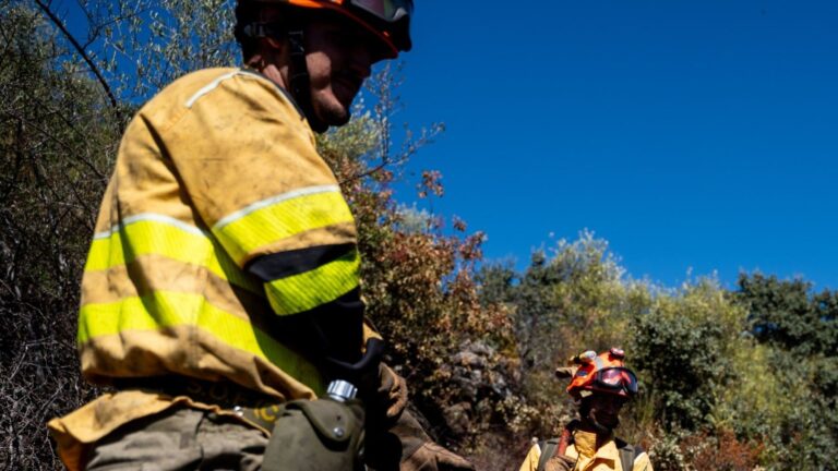 Prévention des incendies forestiers grâce à la gestion des forêts